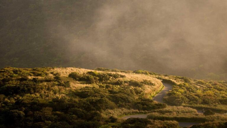 What Is Https Cricbet99 Club M Used For?